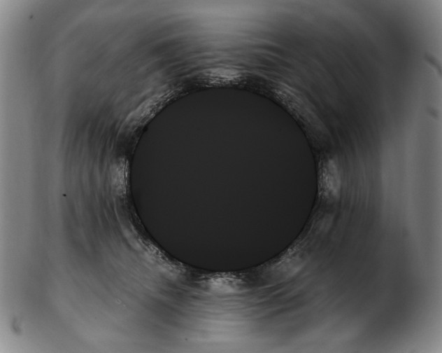 X0000103130468200809121736