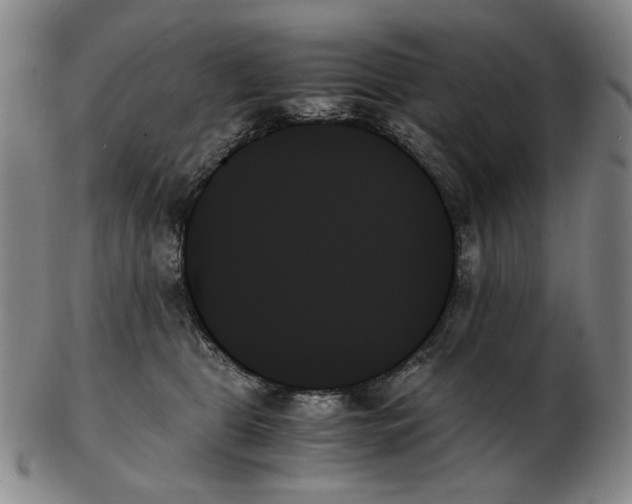 X0000103130469200809121736