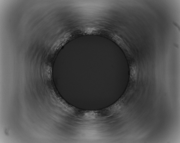X0000103130470200809121736