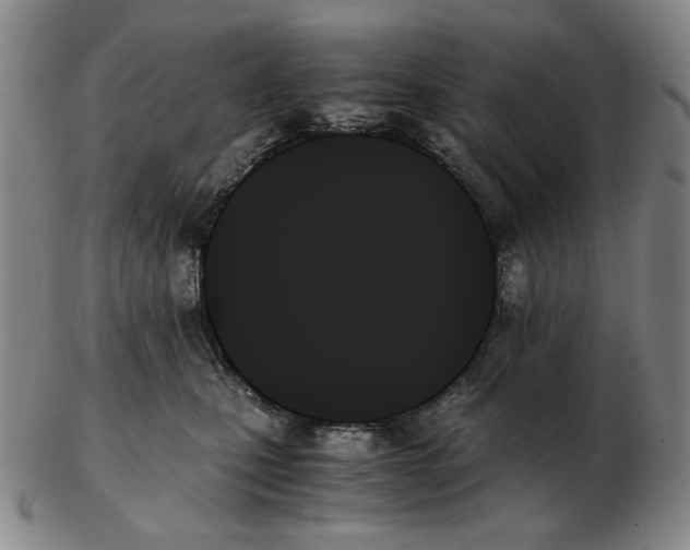 X0000103130471200809121736