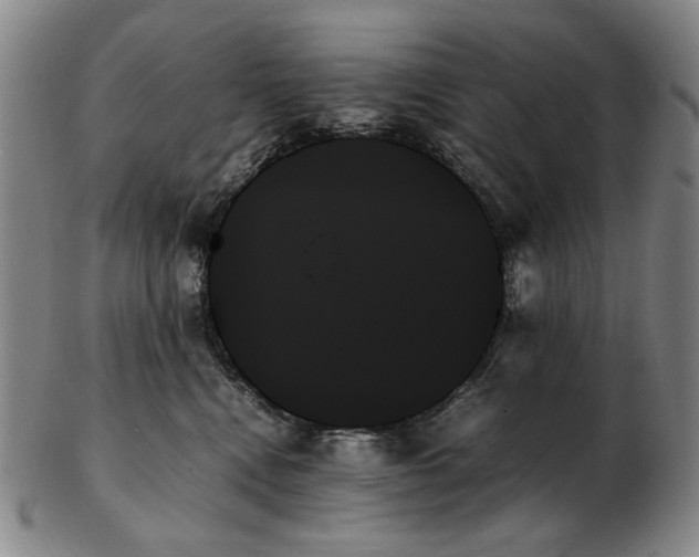 X0000103130472200809121736