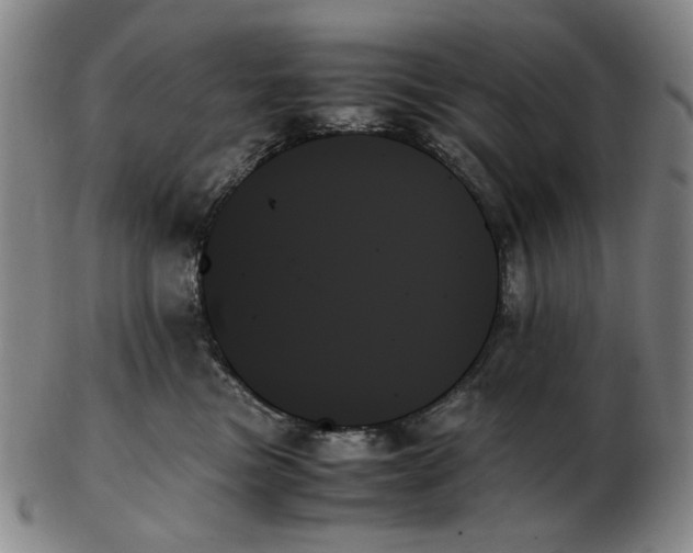 X0000103130473200809121736