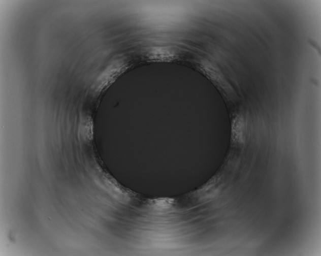 X0000103130474200809121736