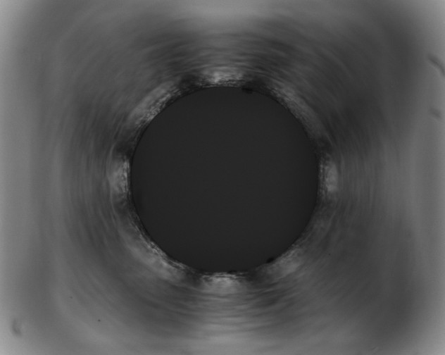 X0000103130475200809121736