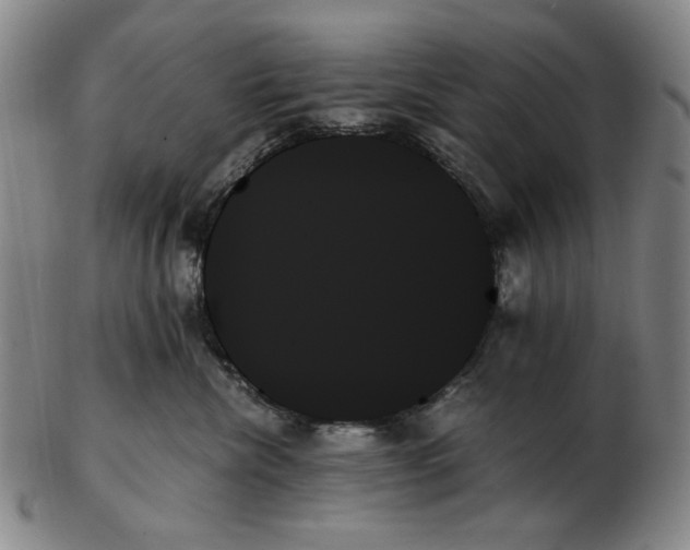 X0000103130476200809121736