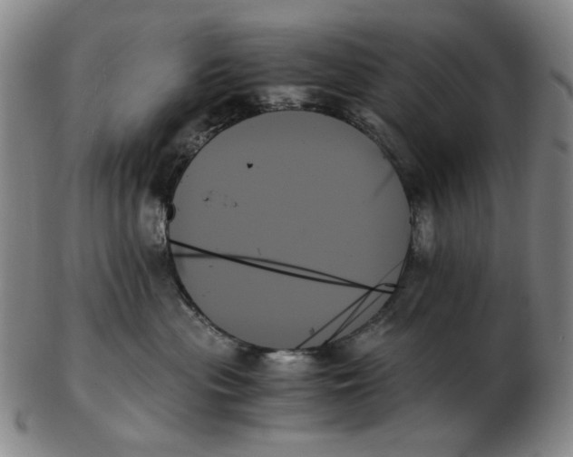 X0000103130477200809121736