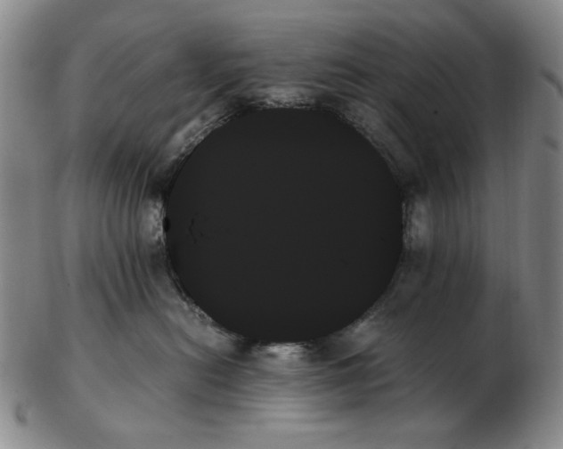 X0000103130478200809121736