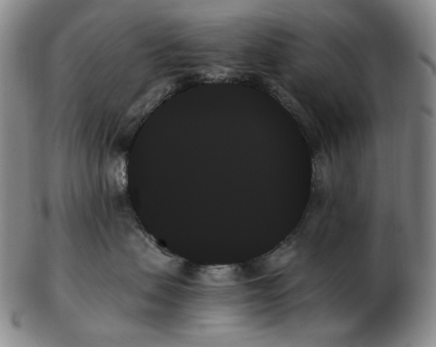 X0000103130479200809121736