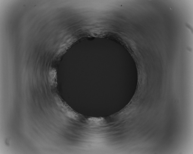 X0000103130480200809121736