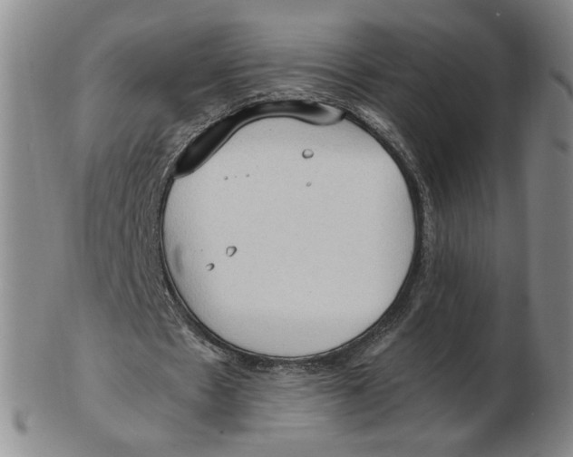 X0000103130481200809121735