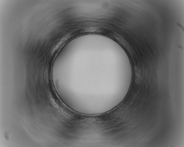 X0000103130482200809121735