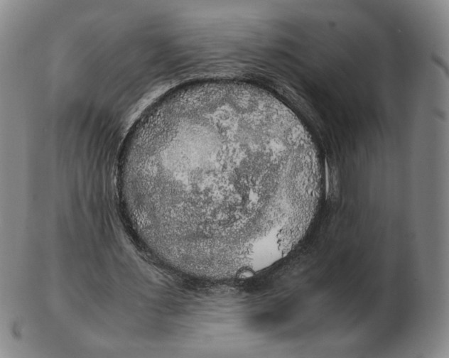 X0000103130483200809121735