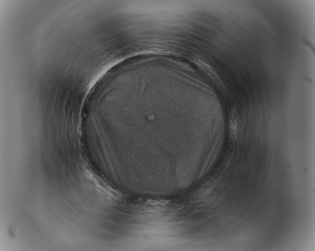 X0000103130484200809121735