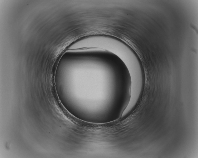 X0000103130485200809121735