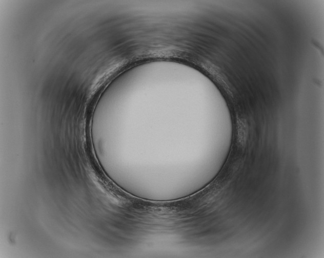 X0000103130486200809121735