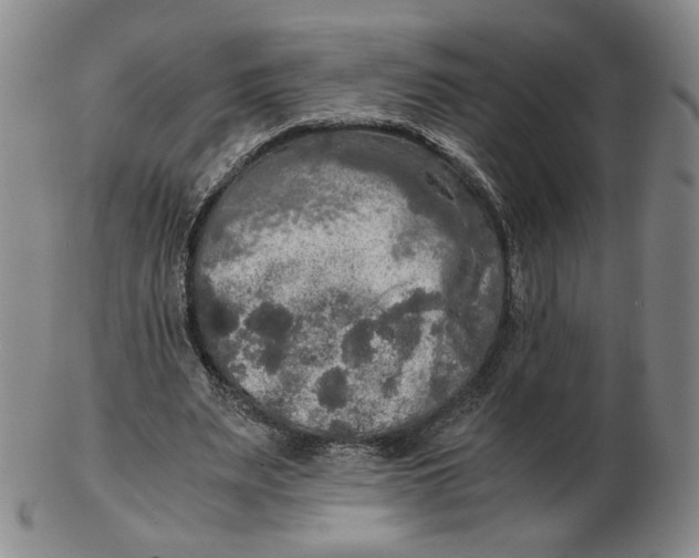 X0000103130487200809121735