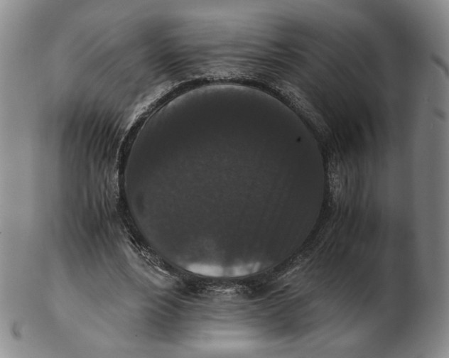 X0000103130488200809121735