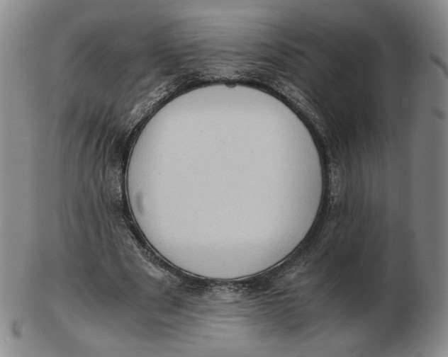 X0000103130489200809121735