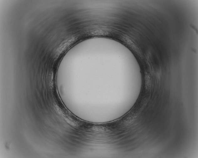 X0000103130490200809121735