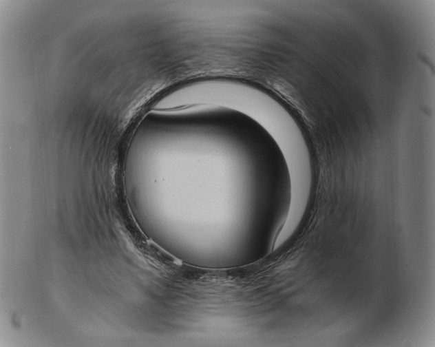 X0000103130491200809121735