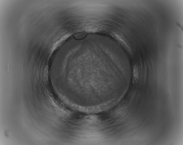 X0000103130492200809121735