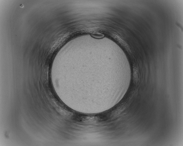 X0000103130493200809121735