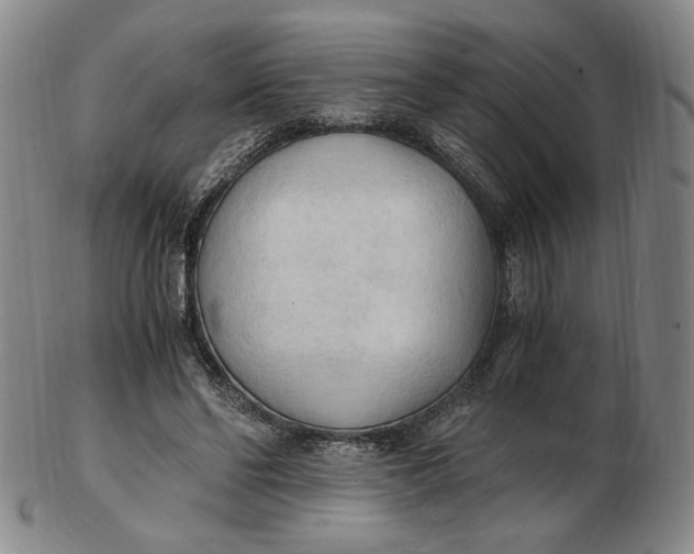 X0000103130494200809121735