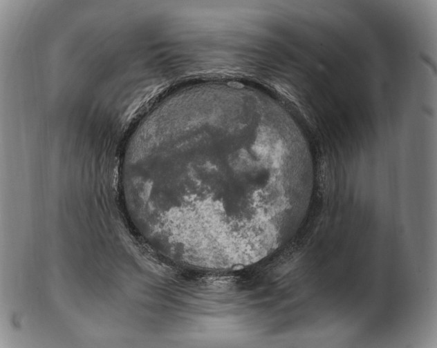 X0000103130495200809121735