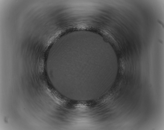 X0000103130496200809121735