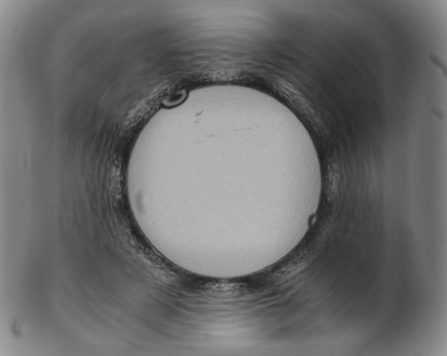 X0000103130497200809121735