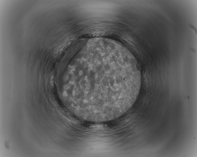 X0000103130499200809121735
