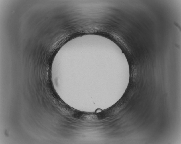 X0000103130501200809121735