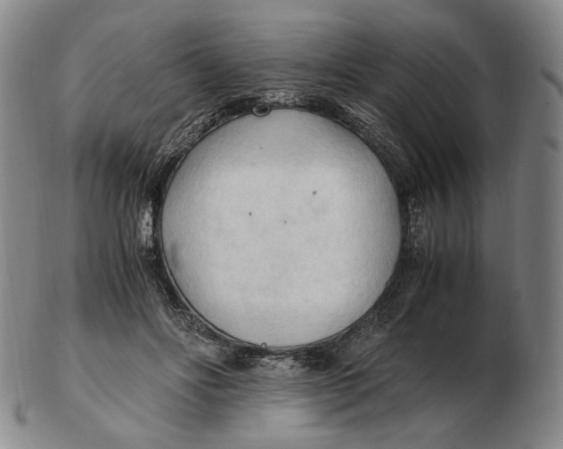 X0000103130502200809121735