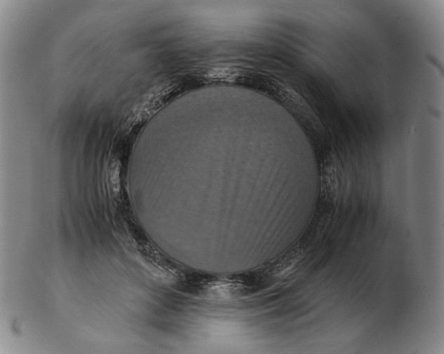 X0000103130504200809121735