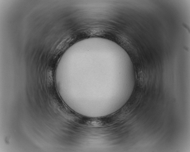 X0000103130506200809121735