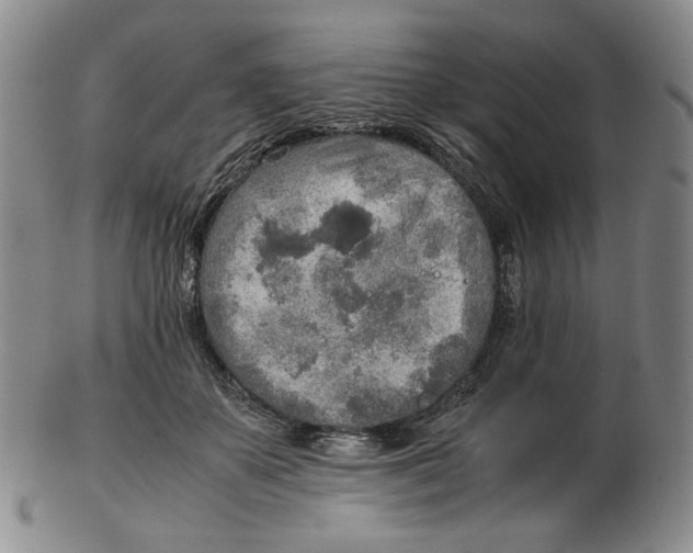 X0000103130507200809121735