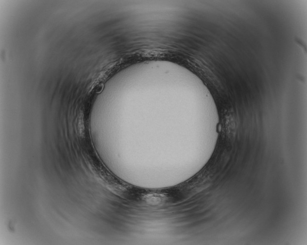 X0000103130508200809121735