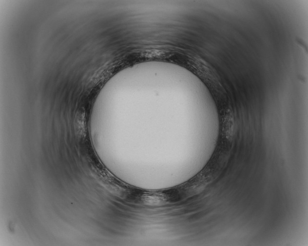 X0000103130510200809121735