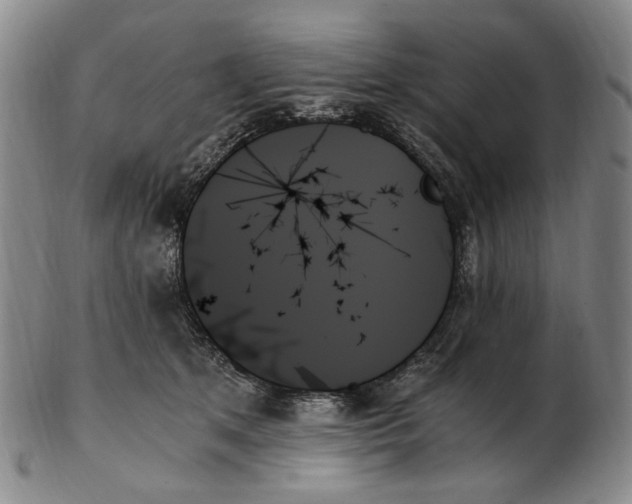 X0000103130513200809121735