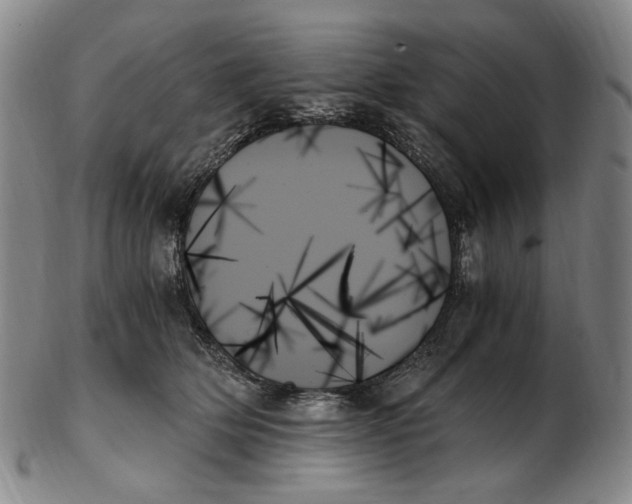 X0000103130514200809121735