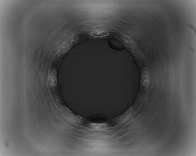 X0000103130515200809121735