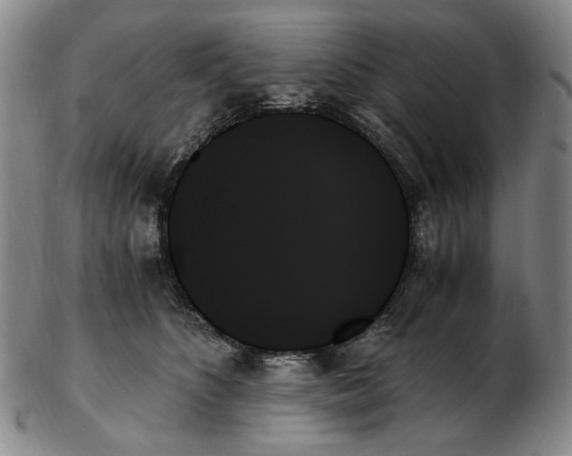 X0000103130516200809121734
