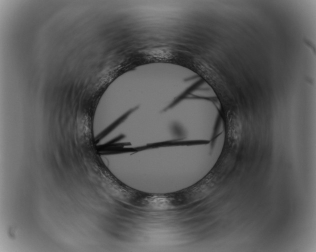 X0000103130518200809121734