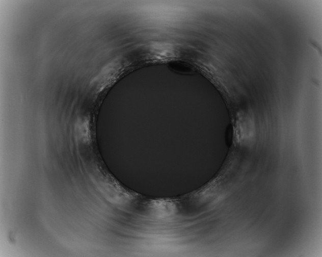 X0000103130520200809121734