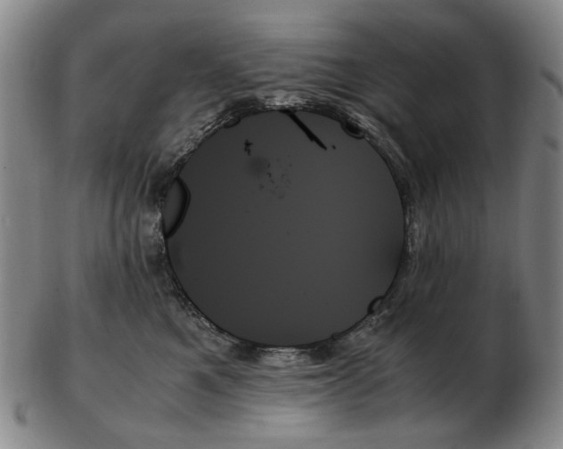 X0000103130521200809121734