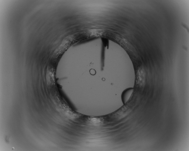 X0000103130522200809121734