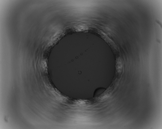 X0000103130523200809121734