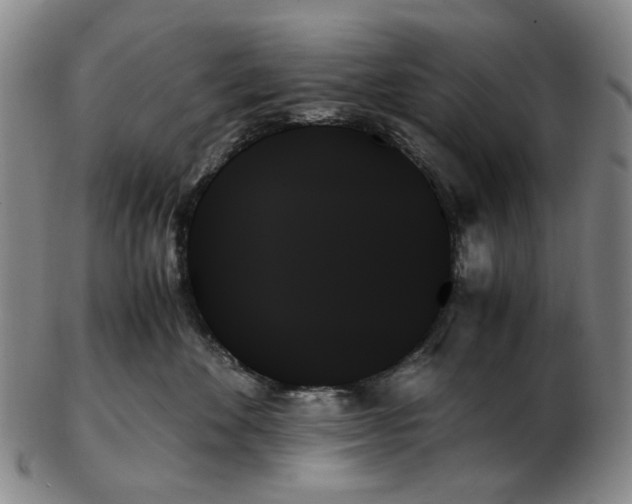 X0000103130524200809121734