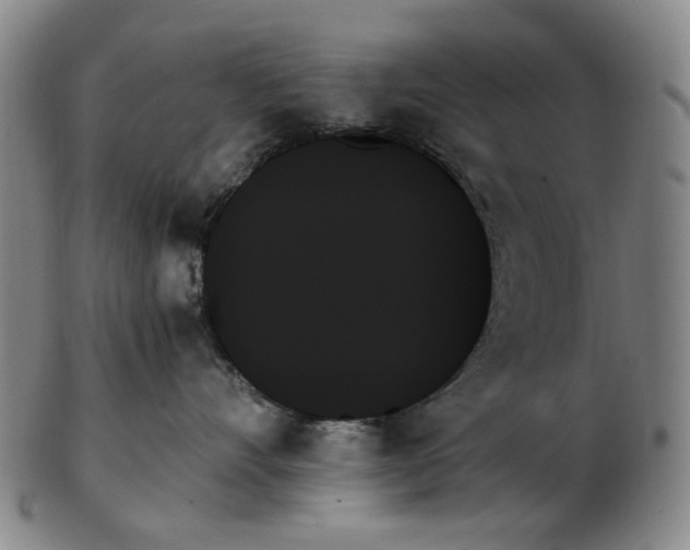 X0000103130528200809121734