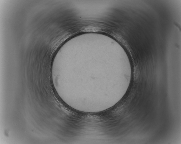 X0000103130529200809121734